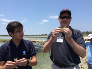 Inspecting some shrimp at Naturisa Farm in Guayaquil, Ecuador