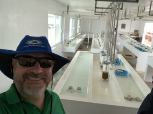 Tilapia hatchery in Campeche, Mexico