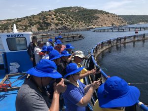 SEA Stakeholder Group in Salamina, Greece