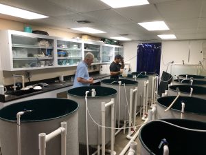 Inside view of the research hatchery