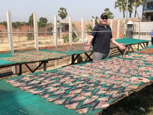 Drying fish in Cambodia