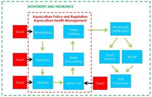 Simplified Aquaculture Production Chain