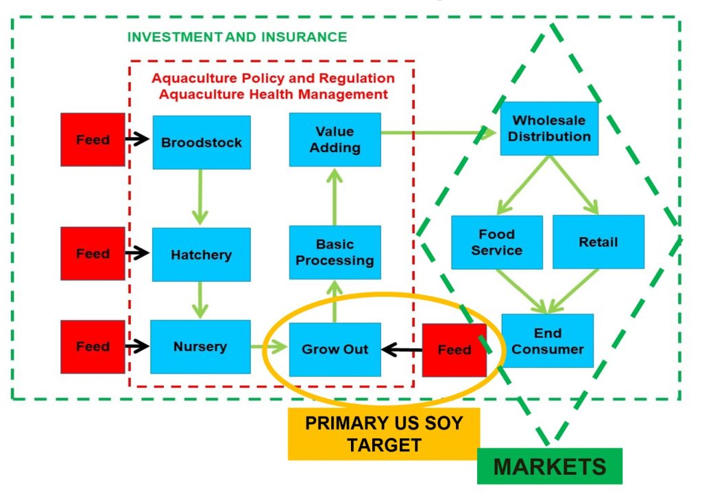 Simplified Aquaculture Production Chain with US Soy